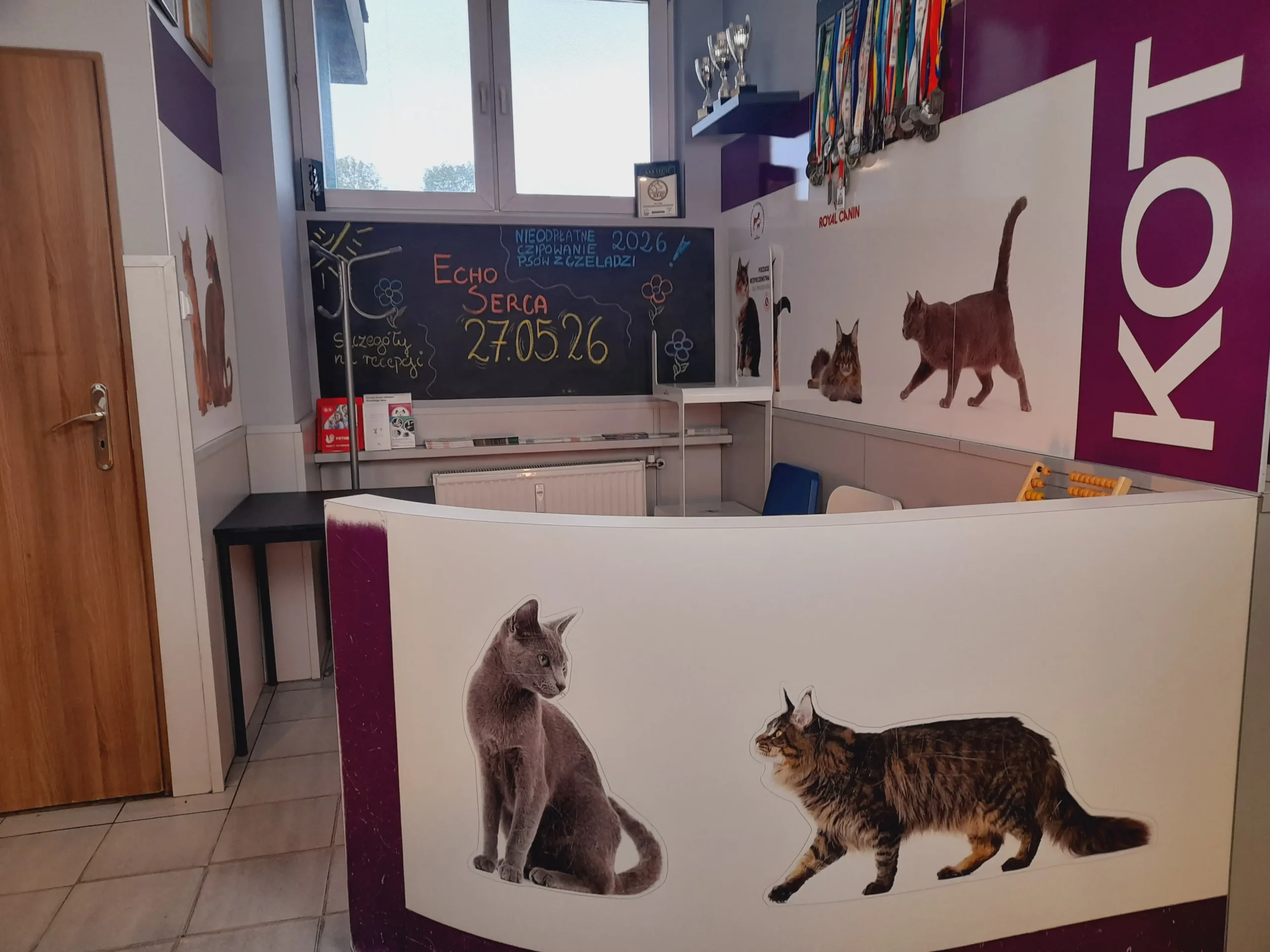 Zdjęcie 3