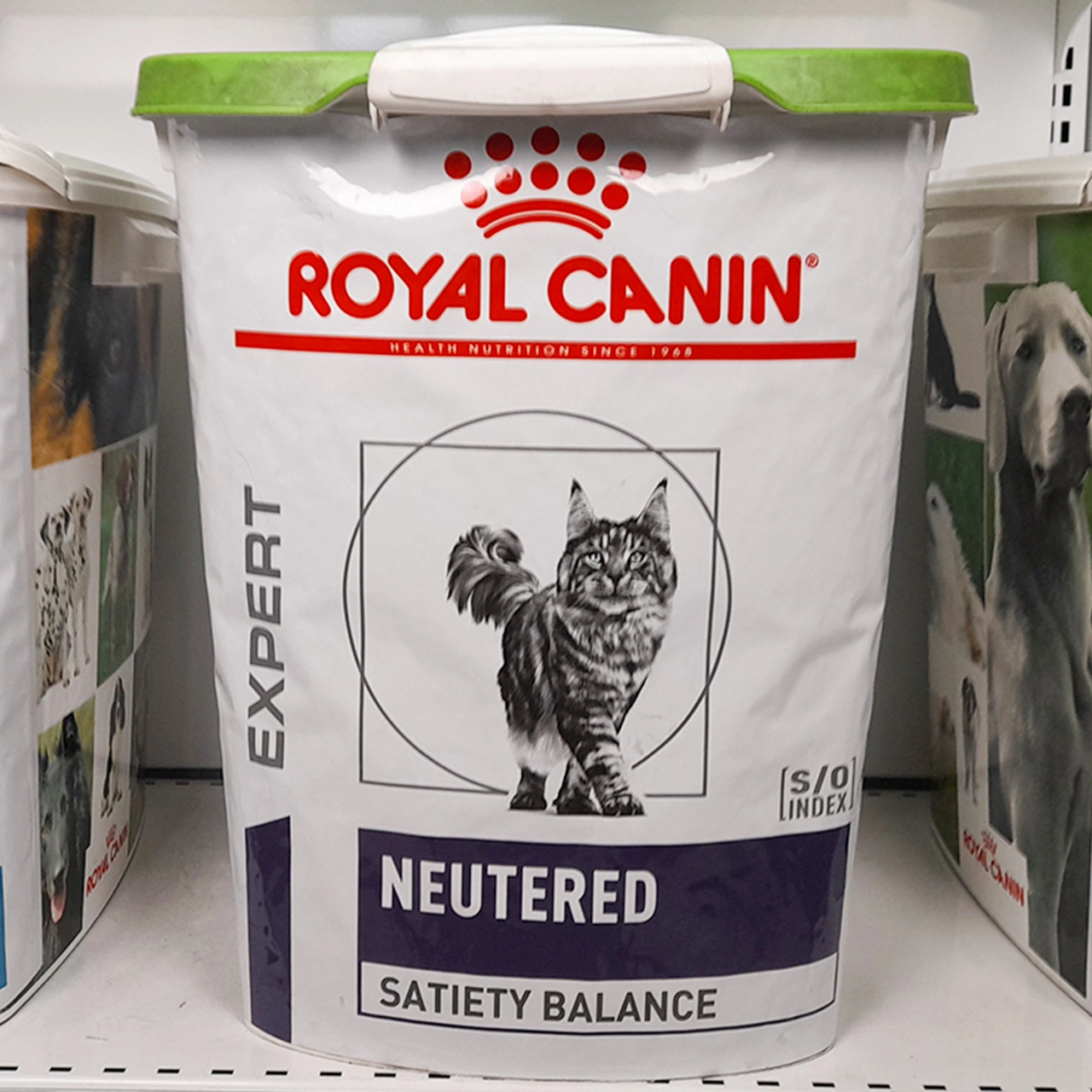 Karma dla psów po kastracji