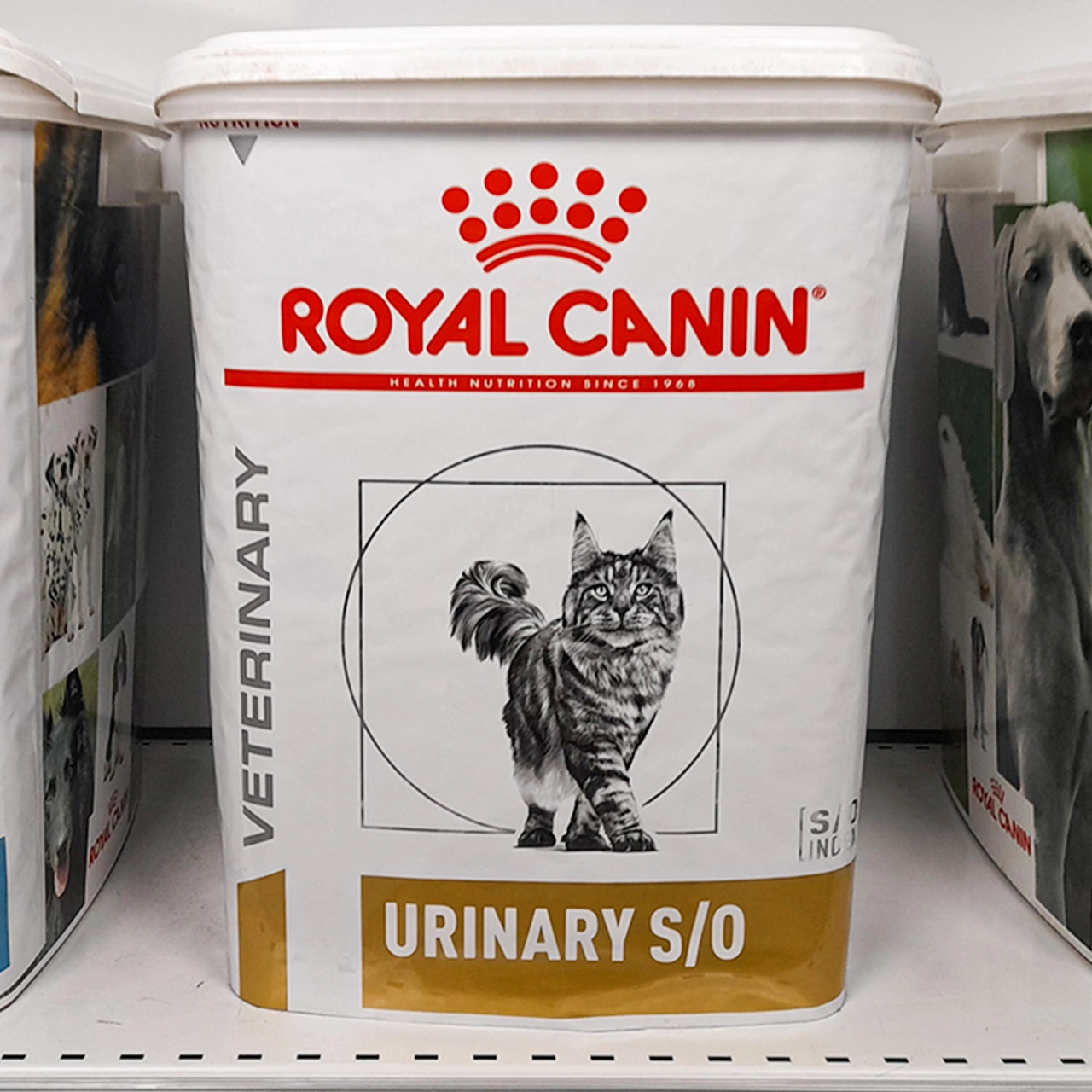 Dieta Urinary ochrona dróg moczowych